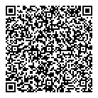 QR код "ДНС"