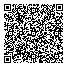 QR код "ДНС"