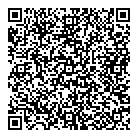 QR код "ДНС"