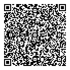 QR код "Динго"