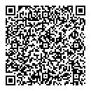 QR код "Алсу"