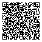 QR код "Da Vinci"