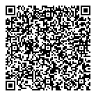 QR код "Vendixs"