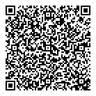 QR код "Domino"