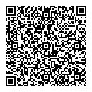 QR код "Цвет"