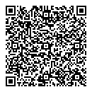 QR код "Астероид"