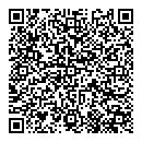 QR код "Блеск"