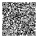 QR код "Ромашка"