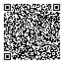 QR код "Спутник"