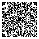QR код "Двое из ларца"