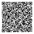 QR код "ИНСИСТ"