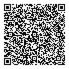 QR код "Домино"
