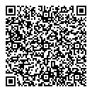 QR код "New Style"
