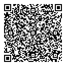 QR код "Lady"