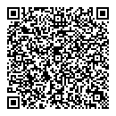 QR код "Домино"