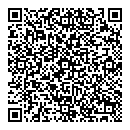 QR код "Vegas"