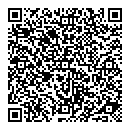 QR код "Little star"