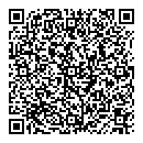 QR код "Алиса"