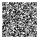 QR код "Аникс"