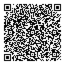 QR код "Алиса"