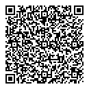 QR код "Чайка"