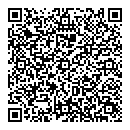 QR код "Лавина"