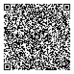 QR код "Система Триоль"