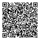 QR код "Глобус"