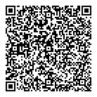 QR код "Созвездие"