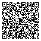 QR код "Blesk InCare"
