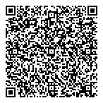QR код "ДСМ-НН"