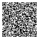 QR код "Профессионал"
