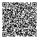 QR код "Глобус"