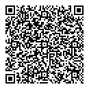 QR код "Art lines"
