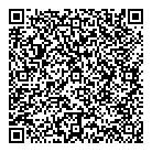 QR код "Шайба"