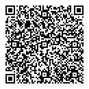 QR код "Спутник"