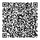 QR код "Созвездие"