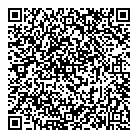 QR код "Иголочки"