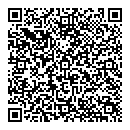QR код "Биплан"