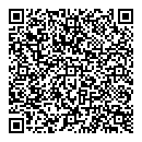 QR код "Глобус"