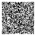 QR код "Тесли"