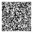 QR код "Феникс"