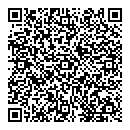 QR код "Хамелеон"