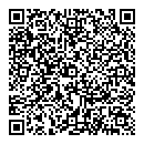QR код "Дельта"