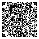 QR код "Frozen Fire"