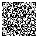 QR код "Блинка"