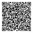 QR код "Домино"