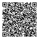 QR код "Хамелеон"