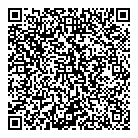 QR код "Паутина"