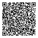 QR код "Remzona 63"